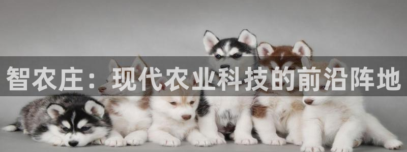 fh至尊平台坑人