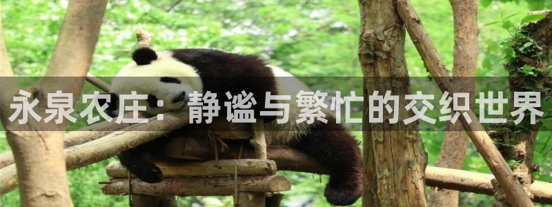 fh至尊在哪个平台