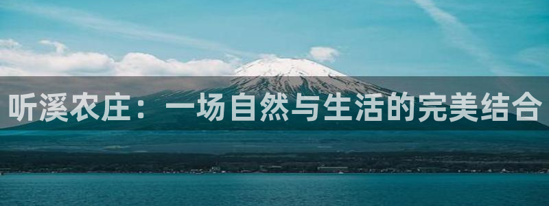 fh至尊网页登入