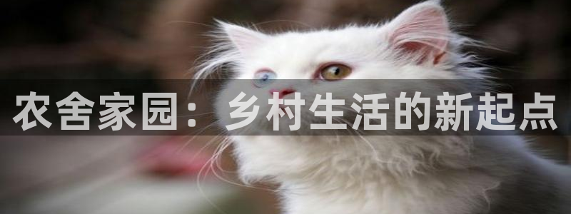 fh至尊是老凤凰平台么