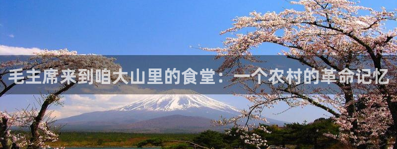 fh至尊手机端进不去