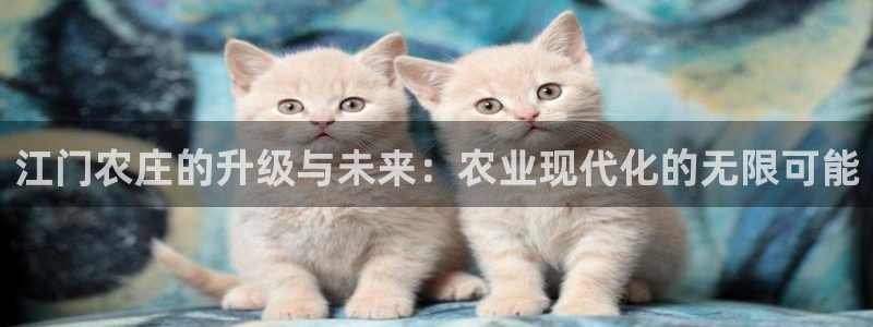 fh至尊黑不黑