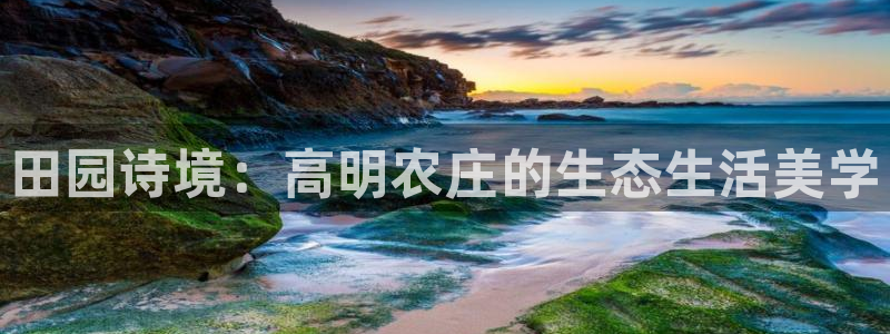 fh至尊凤凰是黑网