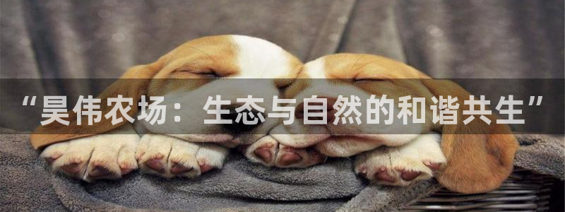 fh至尊正常登录