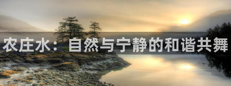 FH至尊平台