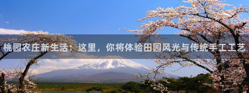 FH至尊凤凰平台登录