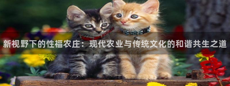 fh至尊平