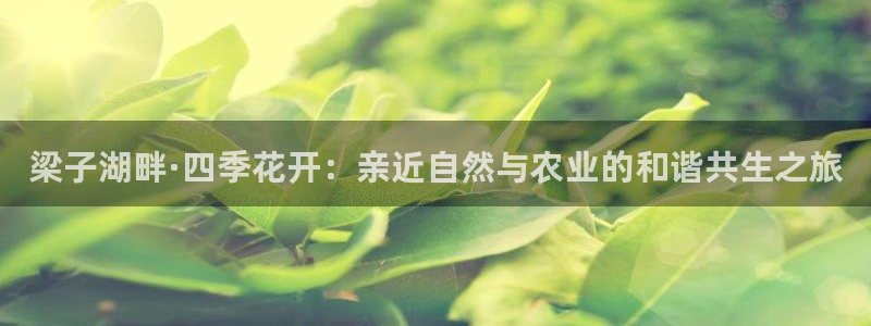 FH至尊登陆