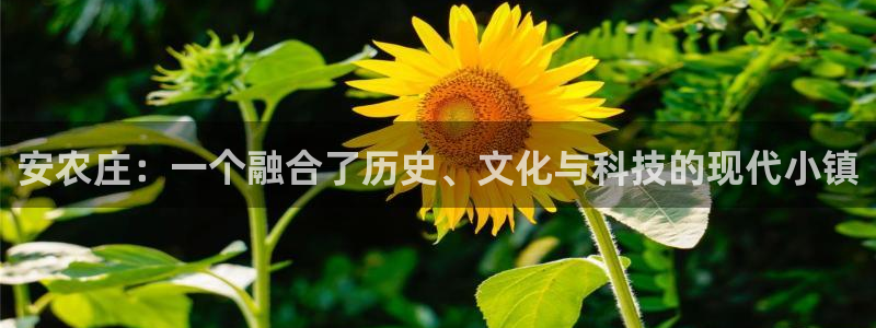 fh至尊游戏彩票