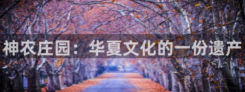 FH至尊平台怎么样