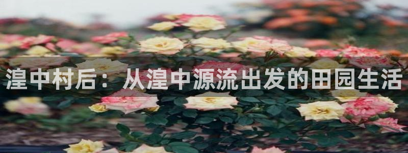 fh至尊注册登陆
