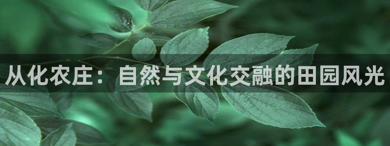 fh至尊为什么不更新了