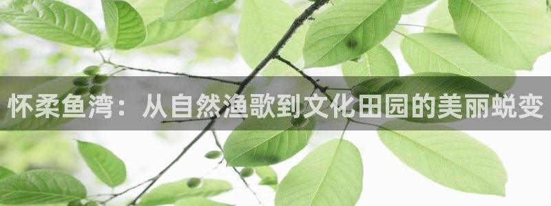 FH凤凰至尊娱乐