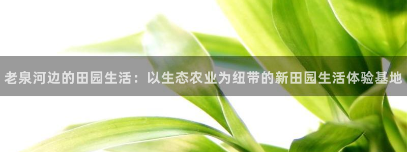 fh至尊游戏客服