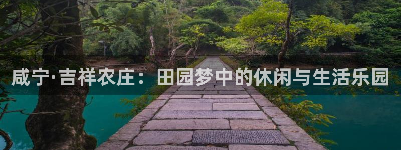 FH至尊属于哪里啊公司