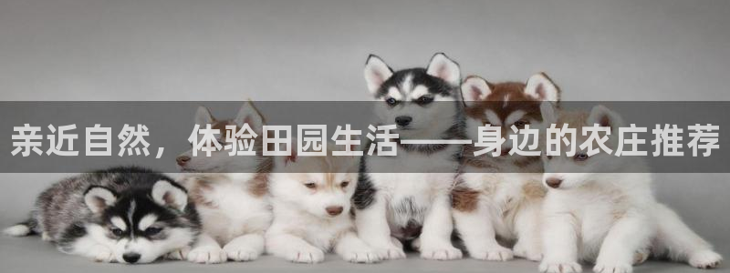 凤凰至尊FH正常登录