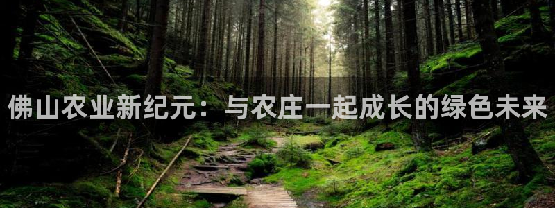 FH至尊是正规平台吗