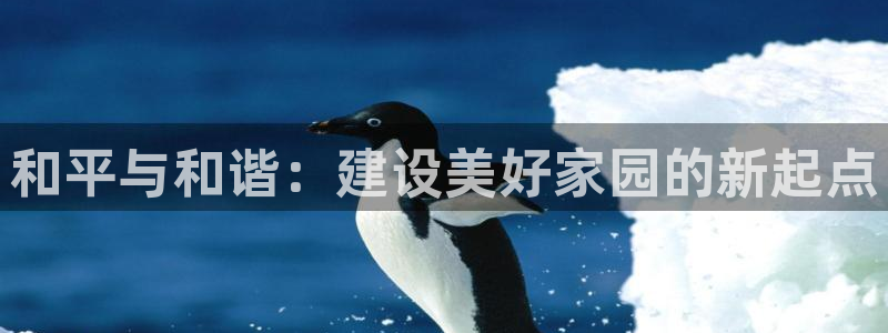 FH至尊开户平台