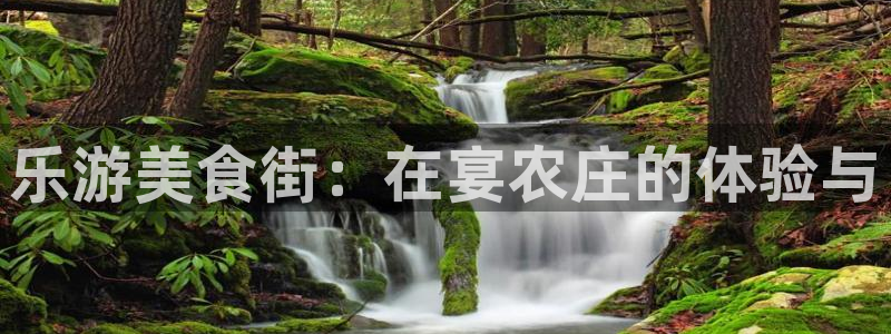 凤凰娱乐FH至尊地址