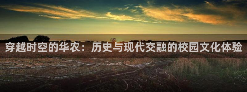 fh至尊是凤凰平台么