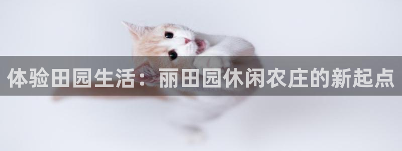 fh至尊怎么登录