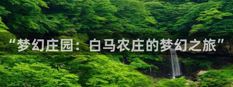 FH至尊招商