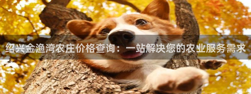 fh至尊凤凰是黑网