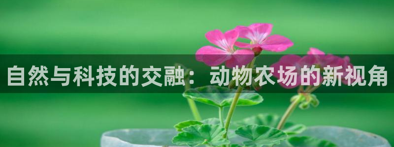 fh至尊是老凤凰平台吗