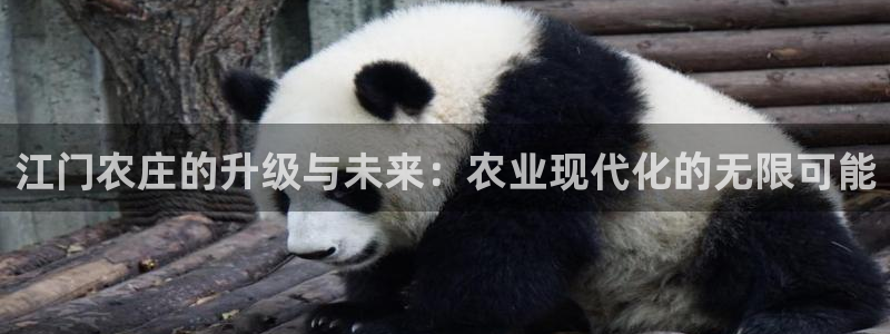 fh至尊正常登录下载