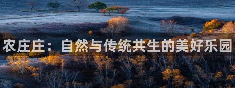 FH至尊平台怎么样