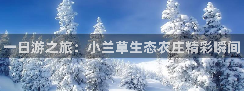 FH至尊开户