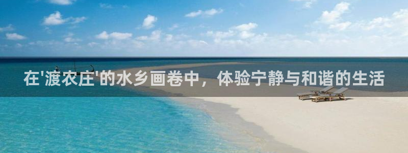 FH至尊是什么意思