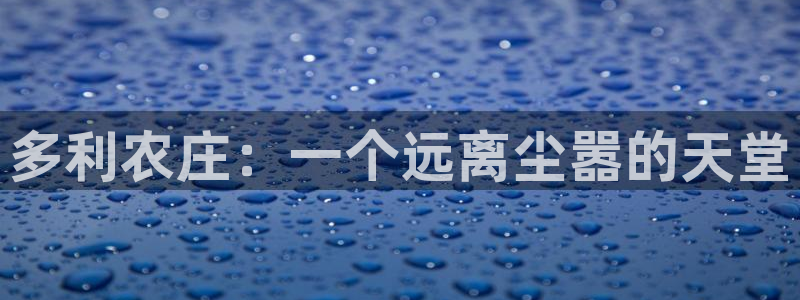 FH至尊VIP
