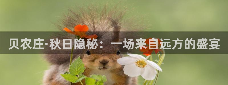 fh至尊凤凰平台下载