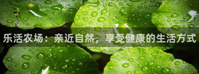 FH-FH至尊版的功能