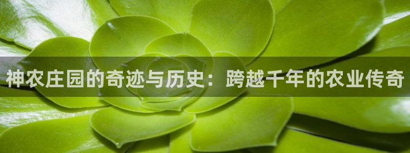 fh至尊游戏安全平台