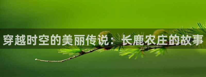 fh至尊平台黑吗