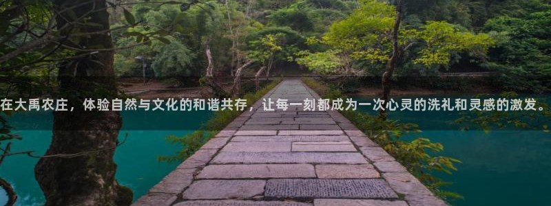 fh至尊平台简介