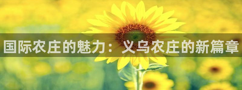 fh至尊注册码