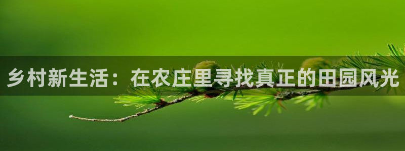 fh至尊app靠谱吗