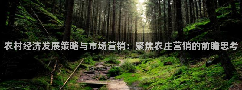 FH至尊登录不了