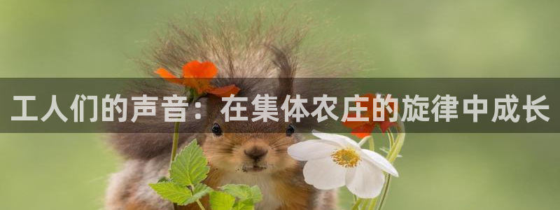 fh至尊平台坑人