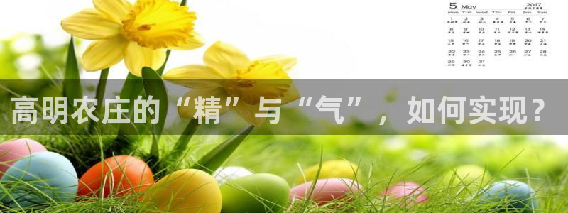 fh至尊平台登录注册