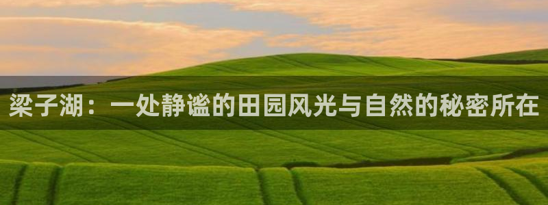 fh至尊手机端进不去