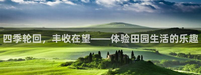 fh至尊游戏客服