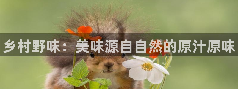 fh至尊官方旗舰店