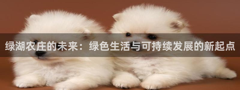 fh凤凰至尊平台