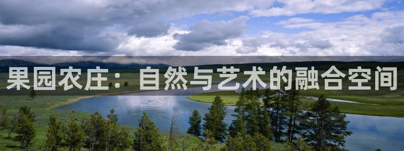 老凤凰改名FH至尊黑钱