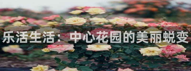 凤凰娱乐FH至尊