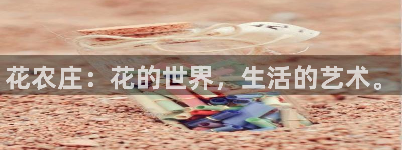 fh至尊是什么平台